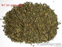 BT 20 green tea ( new crop 2012)