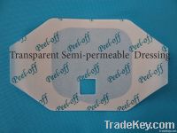 transparent semi-permeable dressing