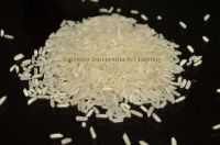 IRRI 6 Long Grain Rice, 25% Broken Rice