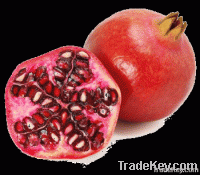 https://es.tradekey.com/product_view/Egyptian-Pomegranate-4041683.html