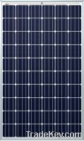 PV Solar Panel mono - SolarPark Powermodule