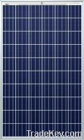 PV Solar Panel poly - SolarPark Powermodule