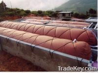 Biogas Product(oem, More Than 15years' Use Life, Finished In 2 Days, Ligh