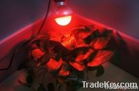 LED grow light