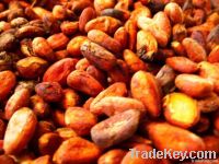 https://www.tradekey.com/product_view/-quot-biokoko-quot-Single-origin-Samoan-Cocoa-Beans-2226311.html