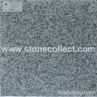 G603 Granite tiles and slabs (the Chinese granite