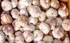 animal feed additives-feed grade garlic allicin 50%