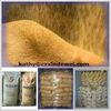 Animal feed additive Choline chloride 60% powder