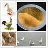 Animal feed choline chloride supplement