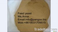 Low price high qulity Feed yeast