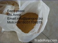 hot sale!!Low price high qulity Feed yeast