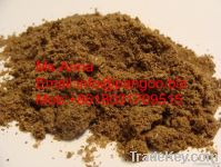 Fish meal Powder for animal protein feed