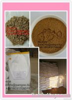 China best  Fish meal factory