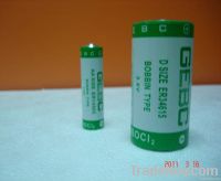 3.6V 3.6V 3.6V Lithium Thionyl Chloride Battery ER34615 ER34615 ER3461