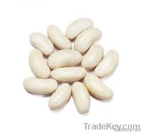 WHITE KIDNEY BEANS