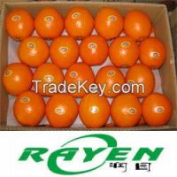 Navel Orange