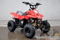 50cc/70cc/90cc/110cc atv