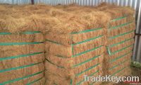 High Quality Sri Lankan Coconut Fibre