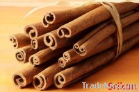 Finest Quality Sri Lankan Cinnamon