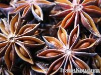 Star aniseed, cassia