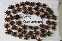 Star anise in spring crop