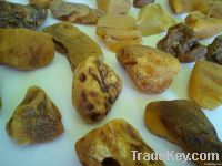 Raw SEA amber stones