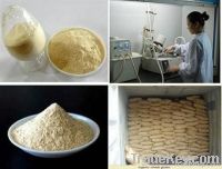 China Vital Wheat Gluten