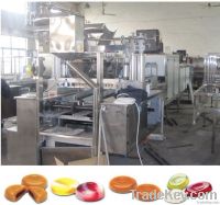 Die-formed Soft Candy Processing Line