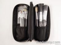 12pcs pro makeup brush set MBS12