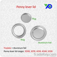 Tinplate penny lever / RCD