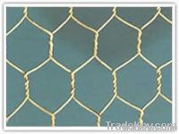 Hexagonal Wire Mesh