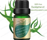 100% Natural and Pure  Eucalyptus  Oil