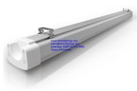 LED tri proof tube light 60cm