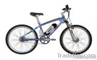 Electric assisted bicycle