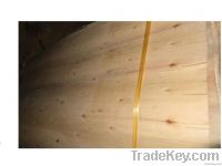 Eucalyptus core veneer