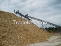 Soft Yellow Pine Wood Chips