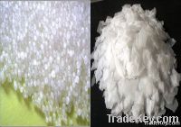 Caustic Soda flakes/pearls