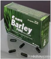 Sante Barley Pure