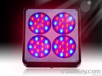 led grow light