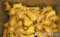 air-dried ginger