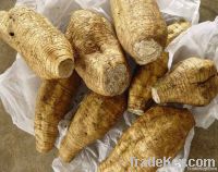 Natural Kudzu Root Extract radix puerarin flova 40%