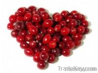 Natural Cranberry Extract Proanthocyanidins 5%-50%