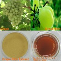 Natural Grape Skin Extract 20~95% Polyphenols