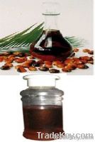 Palm Kernel Oil