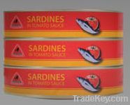 CANNED SARDINES