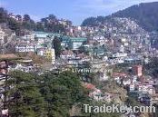 shimla tour package