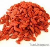 Goji (Wolfberry) Powder / Extract / Concentrate Juice