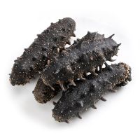 Black Pin Sea Cucumber (Dried and Frozen) 