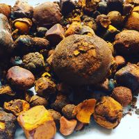 Good Quality Cow Gall Stones