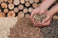 wood pellet production